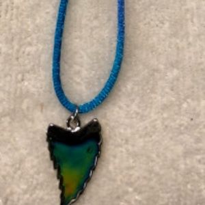 NEW Old Arrowhead Shark Tooth Mood Necklace Color